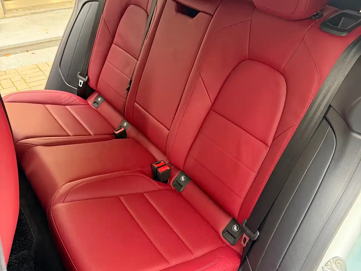 PORSCHE MACAN NEW ENERGY