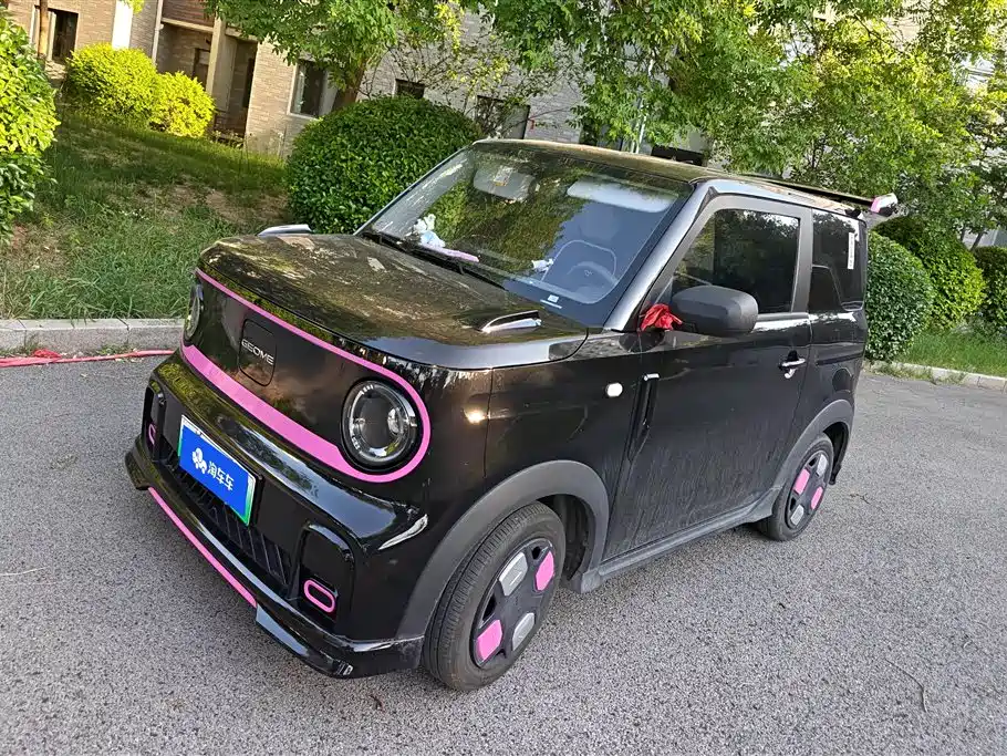 Geely Galaxy Panda 2025 Model Year 210km Panda Kart
