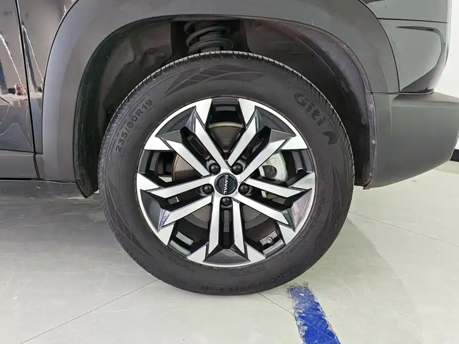 Фото 6 - Haval Dargo