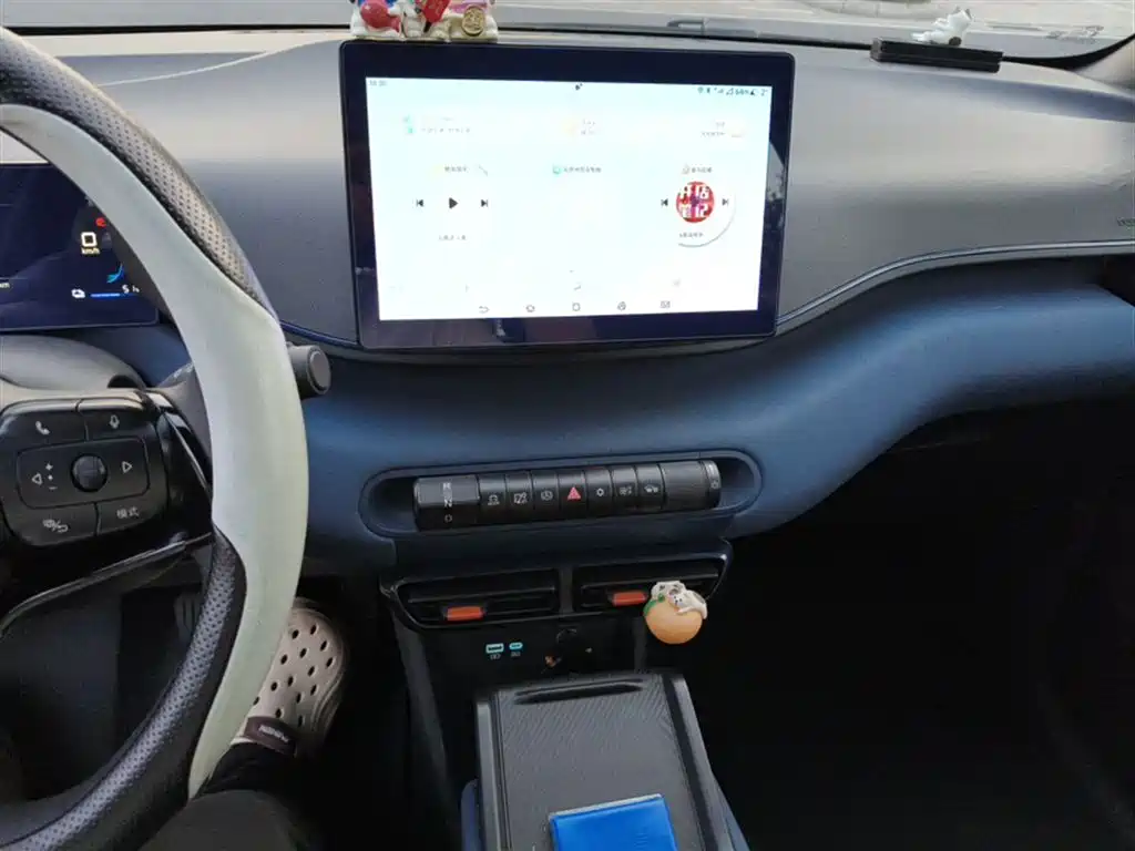 BYD Seagull 2024 Glory Edition 305km Vitality Edition фото 13