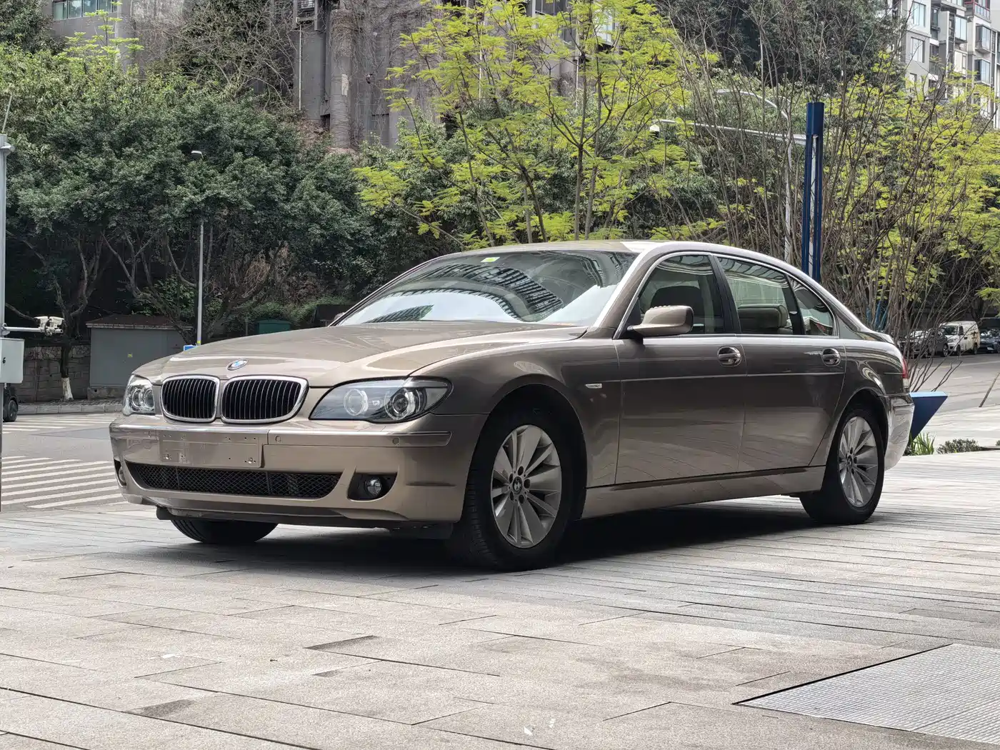 BMW 7 Series 2009 2009 730Li Luxury