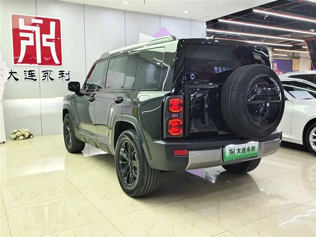 HAVAL RAPTORS NEW ENERGY