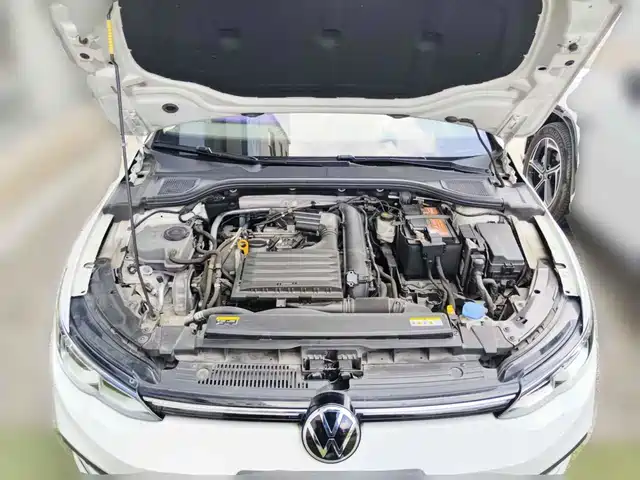 Volkswagen Golf 2021 280TSI DSG Pro Launch Edition — фото 3