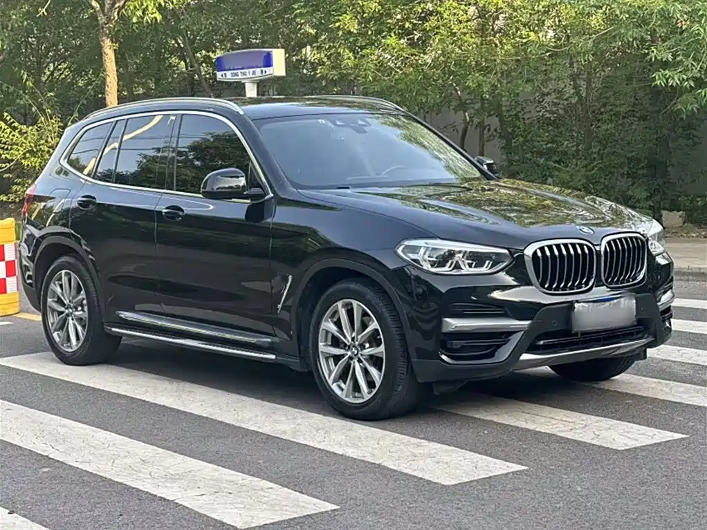 BMW X3 2019 xDrive25i Luxury Package фото 9