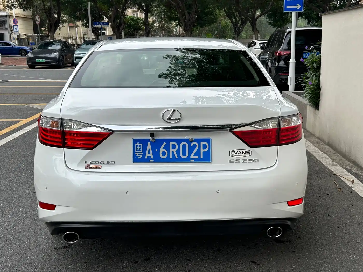 Lexus ES 2013 250 Elite Edition фото 13