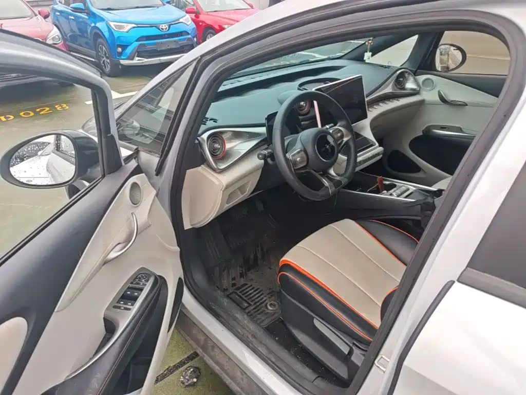 BYD Dolphin 2022 2021 405km Freedom Edition