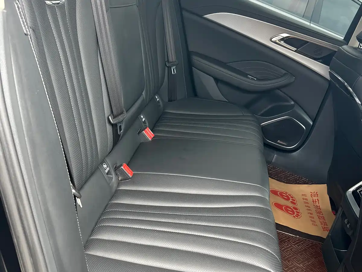 Hongqi H5 2023 2.0T Auto Smart Connect Flag Comfort фото 13