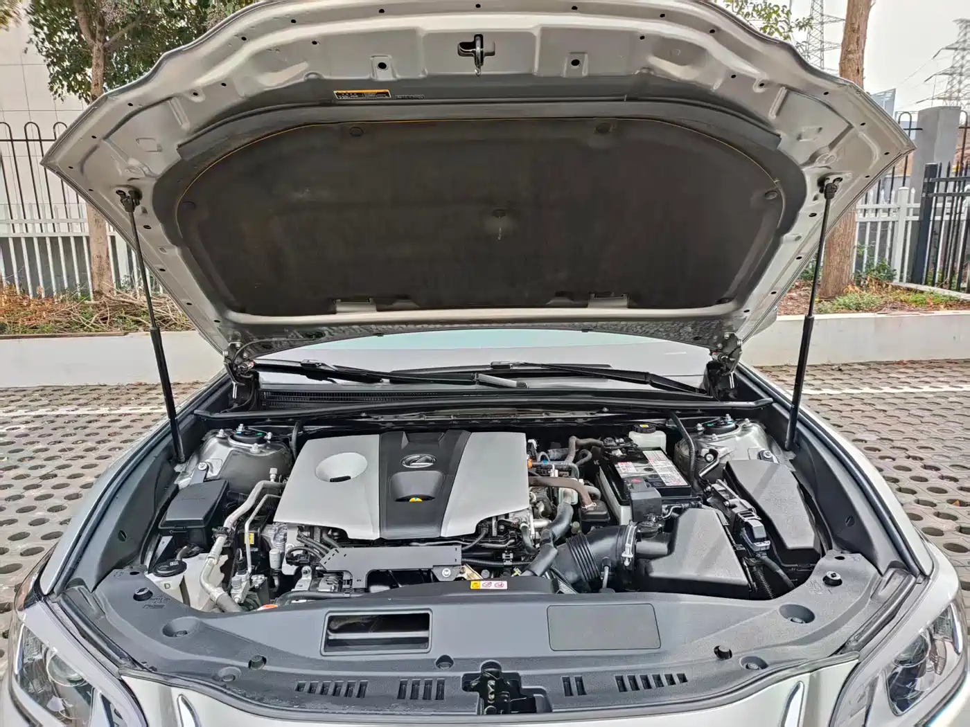 Lexus ES 2020 Model 260 Excellence Edition China V фото 18