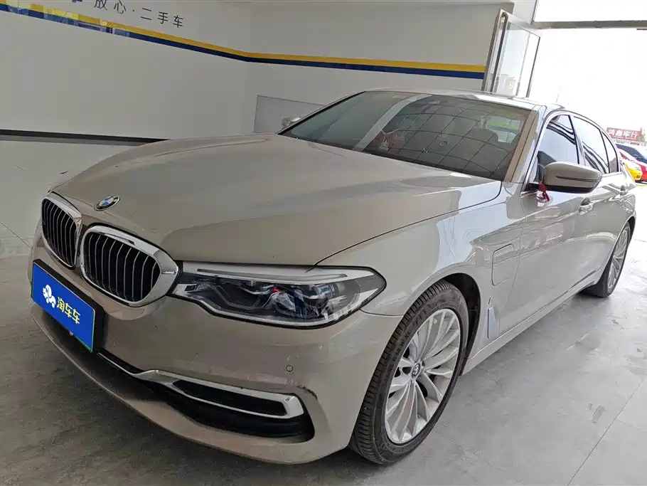 BMW 5 Series New Energy 2019 Facelift 530Le Luxury Package