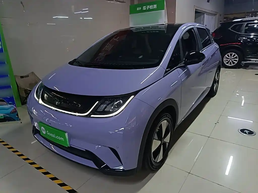 Фото 1 - BYD Dolphin
