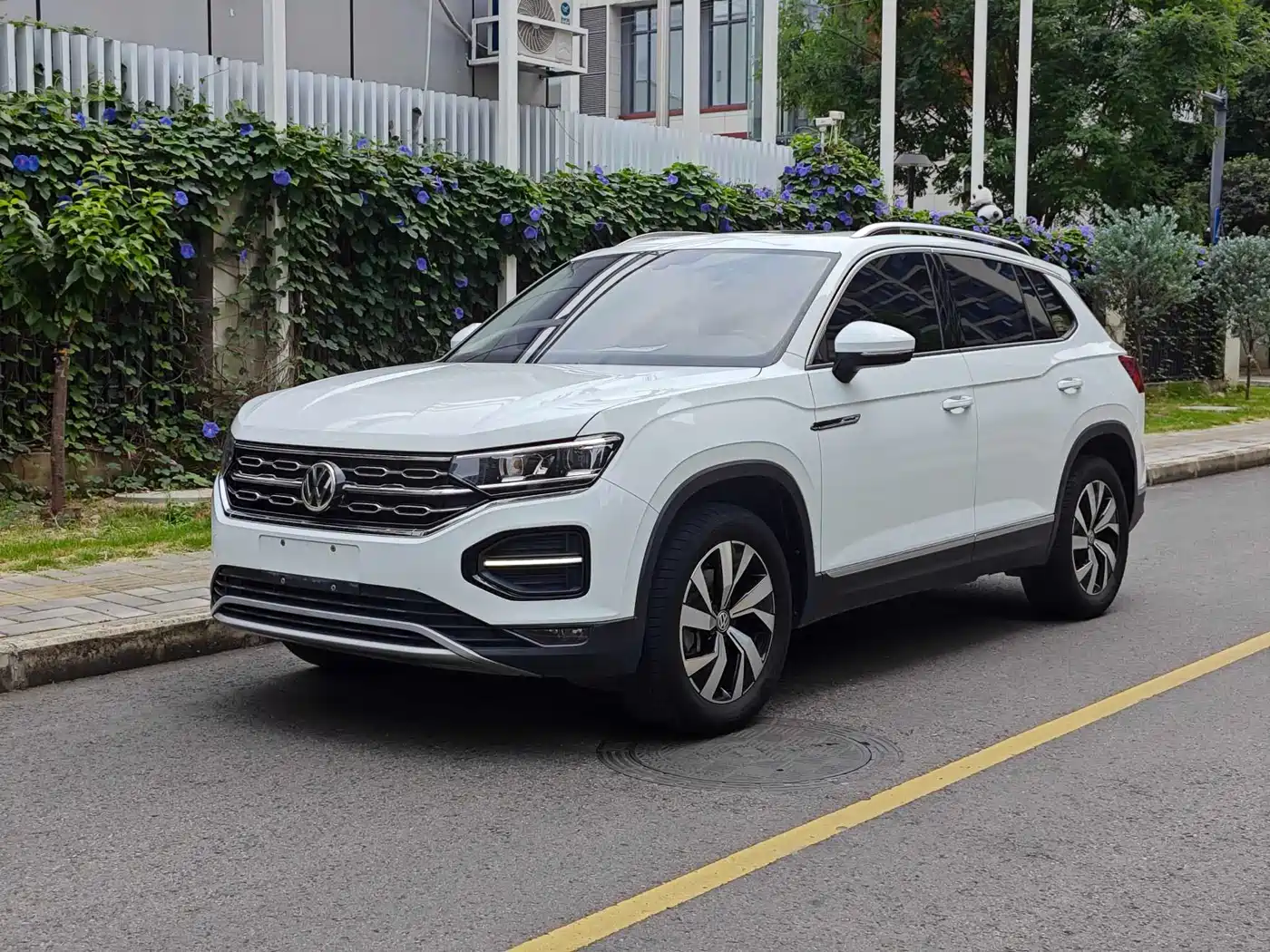 Volkswagen Tayron 2019 330TSI 4WD Luxury China VI