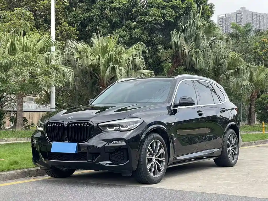 BMW X5 (Import) 2021 xDrive30i M Sport Package