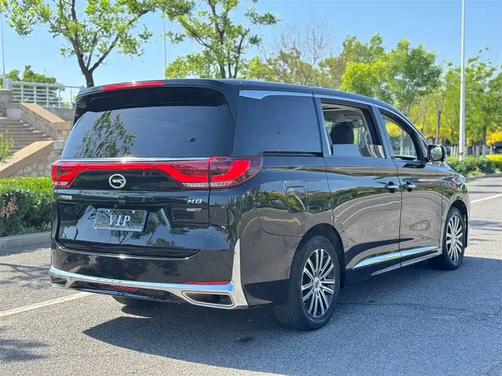 GAC Trumpchi Trumpchi M8 2021 Leading Show Series 390T Ultimate Edition фото 6