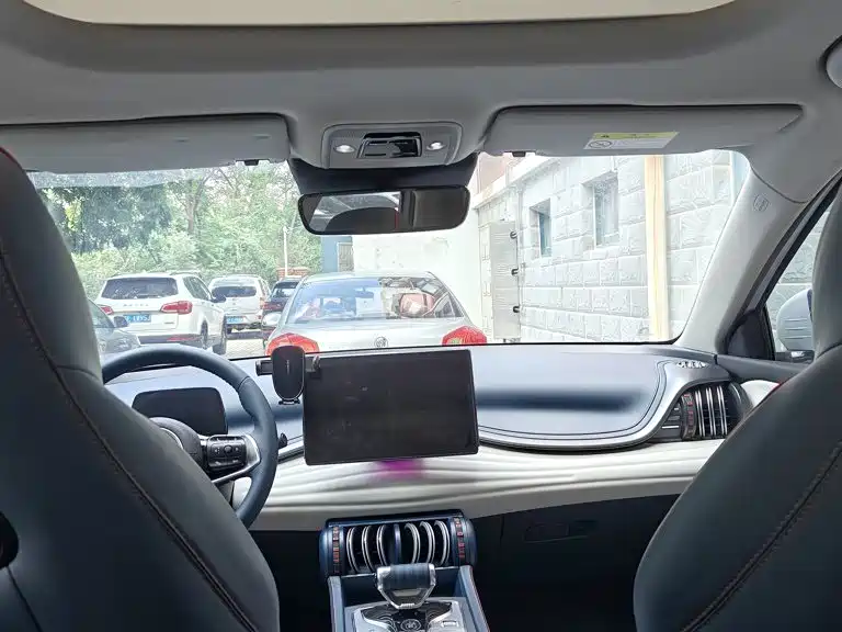 BYD Yuan PLUS 2022 2022 510KM Flagship