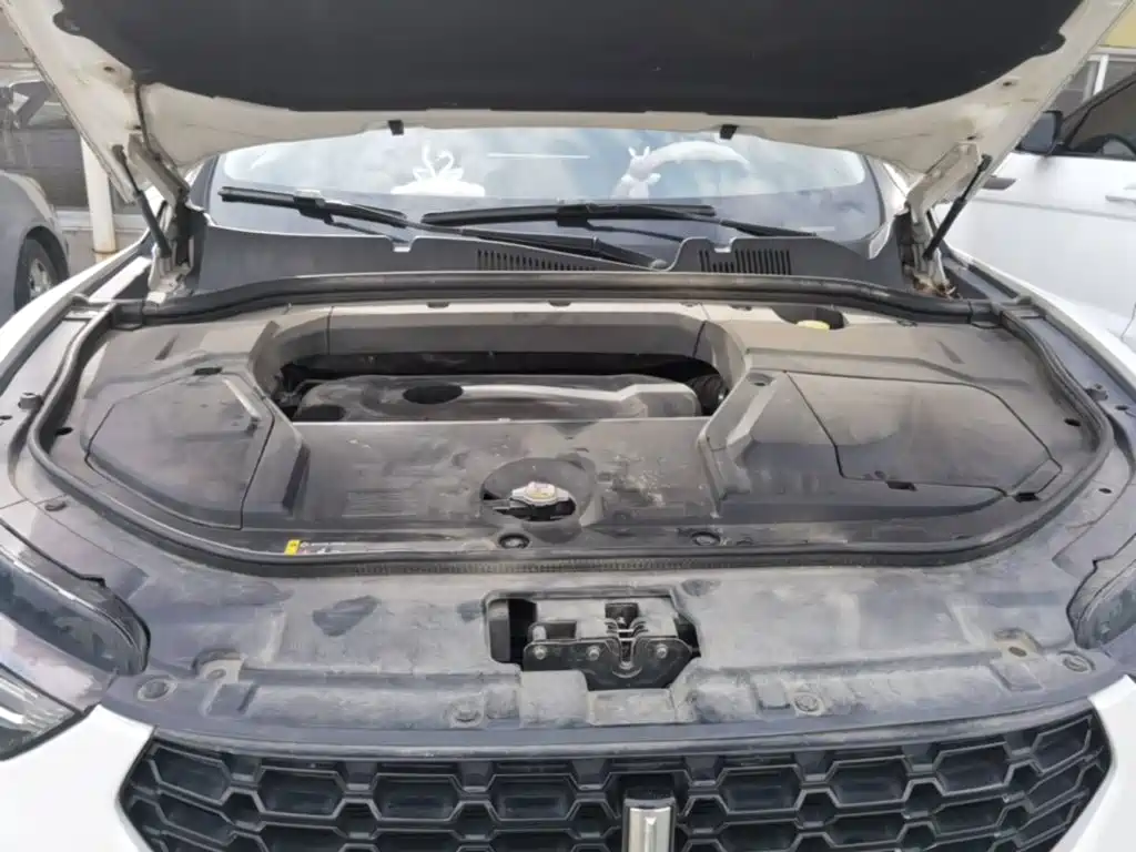 WEY VV5 2017 2017 2.0T Flagship Model