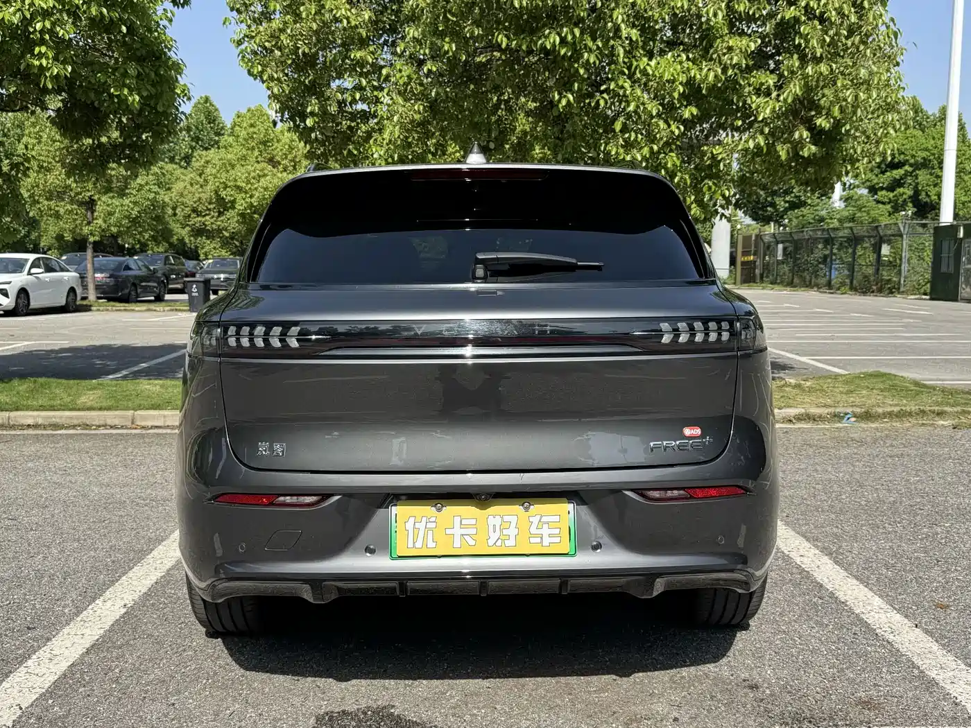2025 Voyah Auto VOYAH FREE
