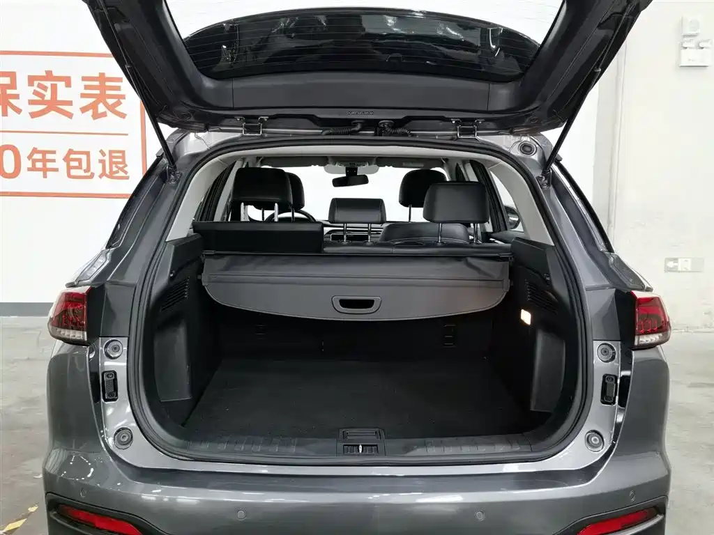 GAC Trumpchi Trumpchi GS5 2019 270T Automatic Luxury фото 16