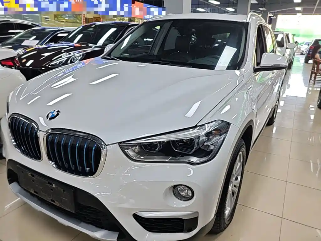 BMW X1 New Energy 2019 2019 xDrive25Le Range Upgrade Edition