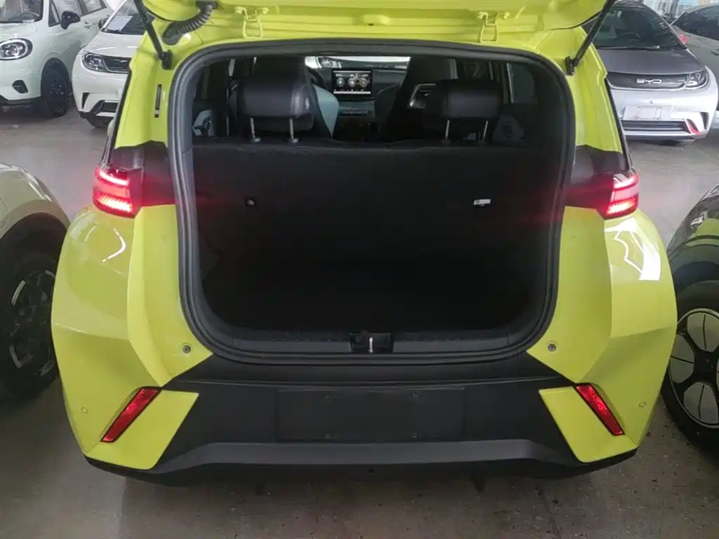 BYD Seagull 2023 Freedom Edition фото 19