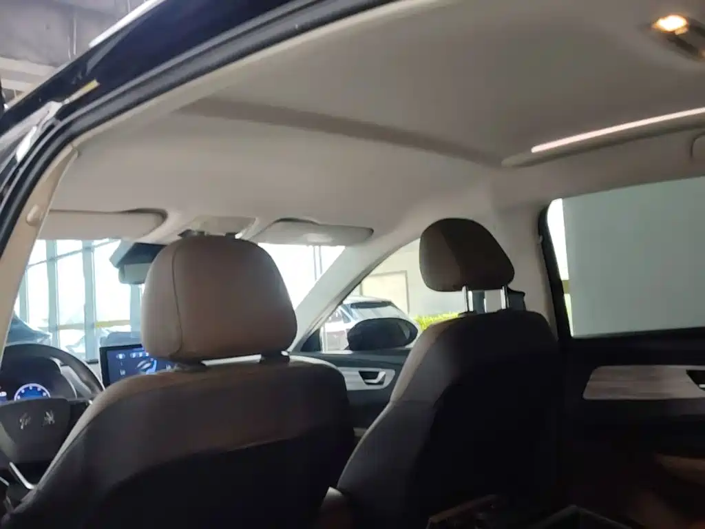 Hongqi E-QM5 2025 2024 Model 610km PLUS