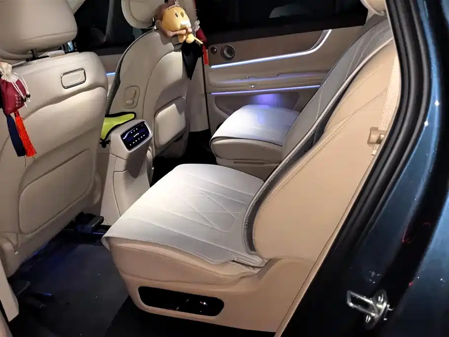 AITO Wenjie AITO M9 2024 Range Extender Max Edition 42kWh 6-seater фото 11