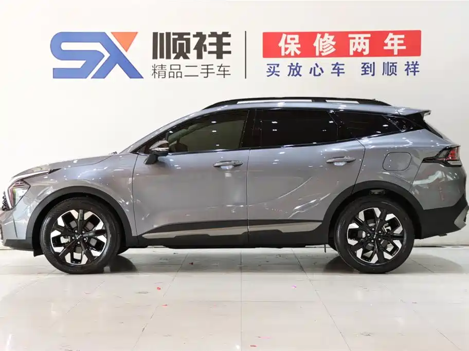 KIA LION PLATINUM EXPANDS THE WORLD