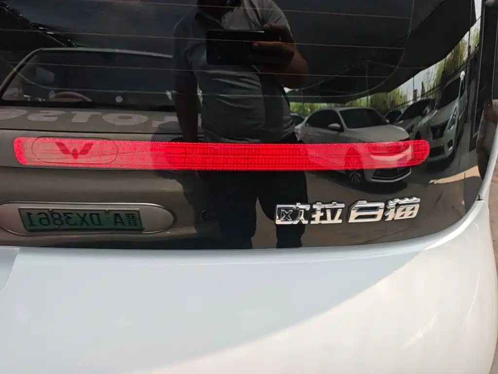 Ora White Cat 2022 2022 Upgraded 305km Luxury (NMC)