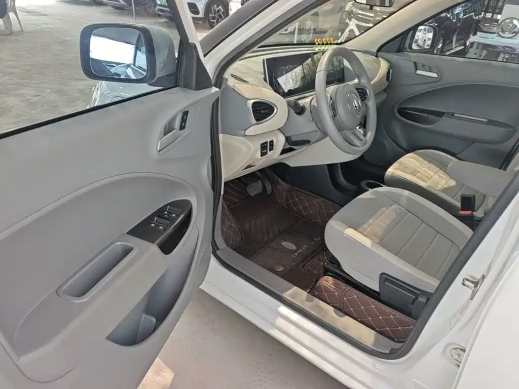 Ora White Cat 2022 2022 Upgraded 305km Luxury (NMC)