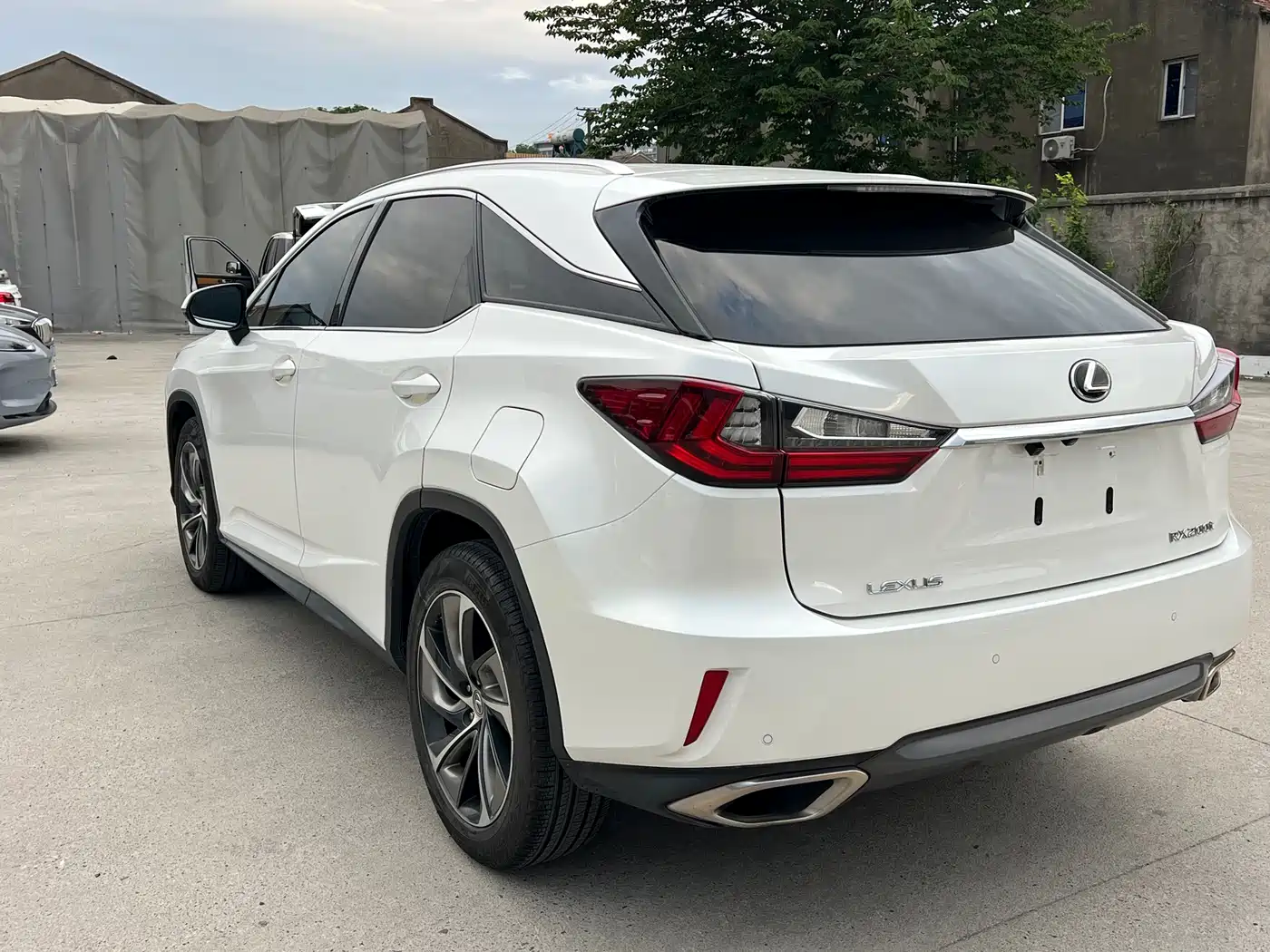Lexus RX 2016 300 4WD Elegance Edition (China V) фото 16