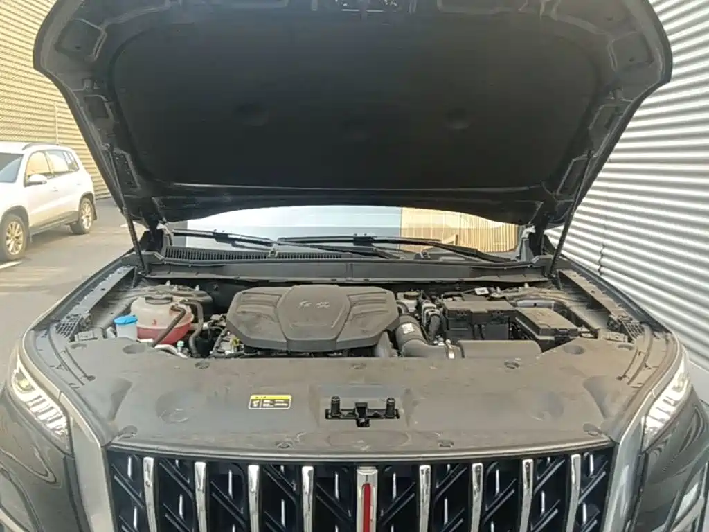 Hongqi HS5 2025 2025 2.0T 4WD Qixiang Pro