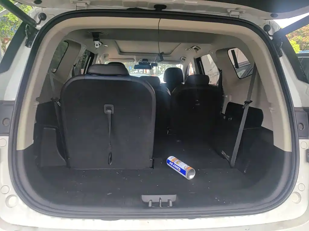Ruilan Auto Ruilan 9 2024 2023 470km Executive Version