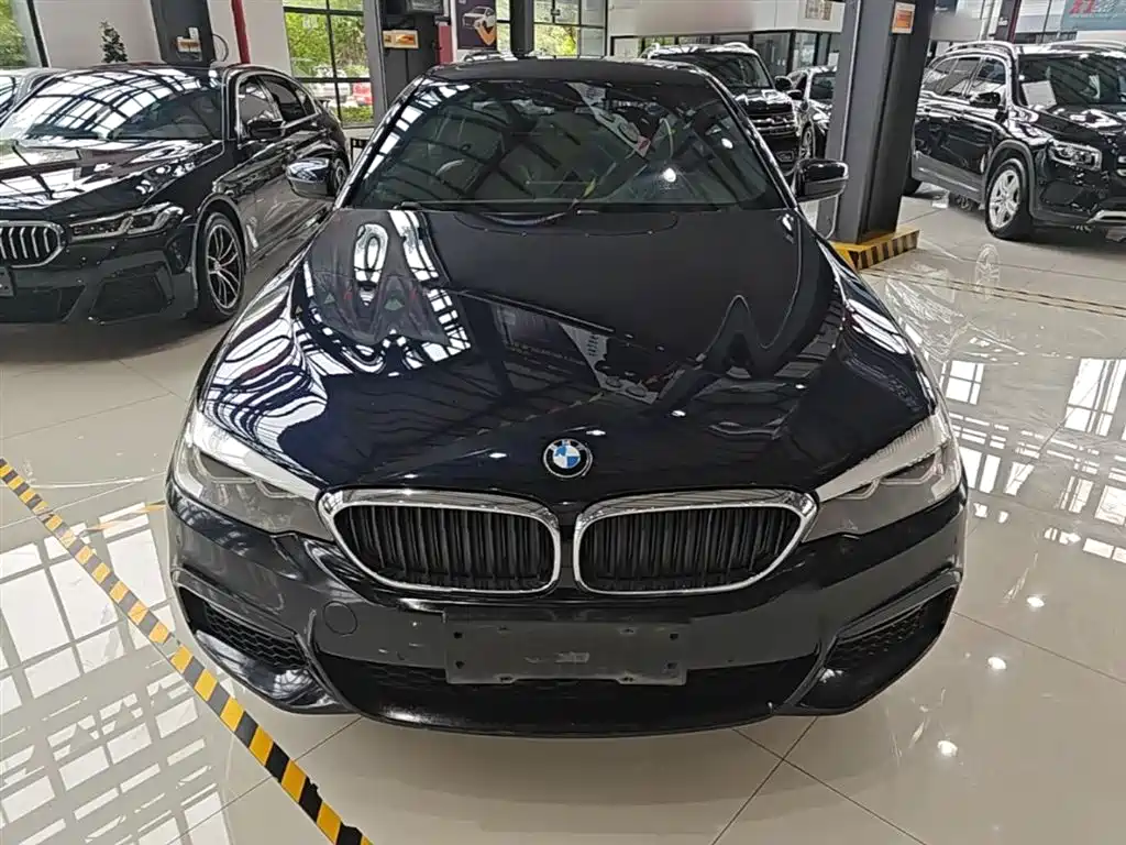 BMW 5 Series 2018 530Li xDrive M Sport Package фото 3