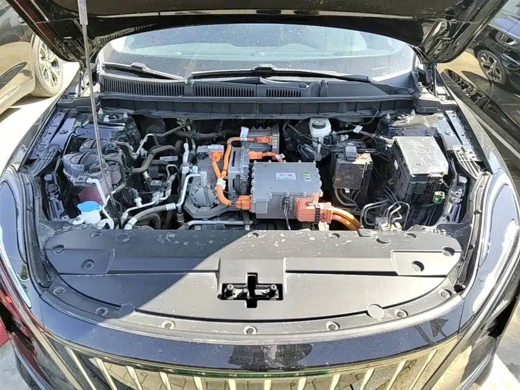 Hongqi E-QM5 2023 Facelift Basic Travel Edition фото 20