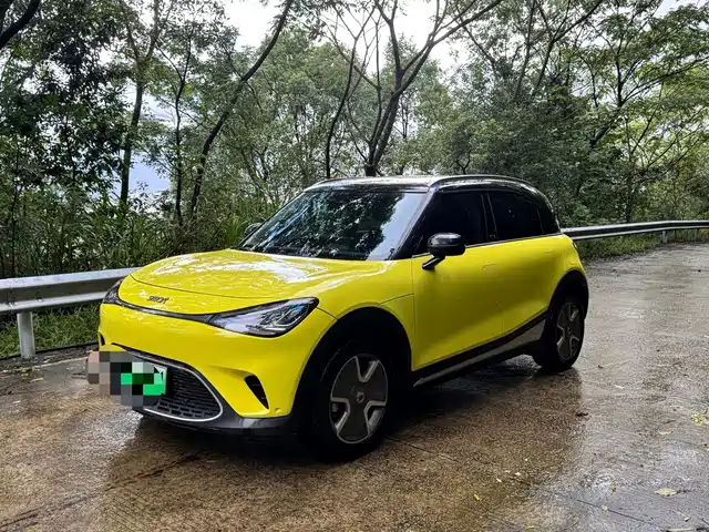  smart smart Elf #1 2022 Pro+ Edition