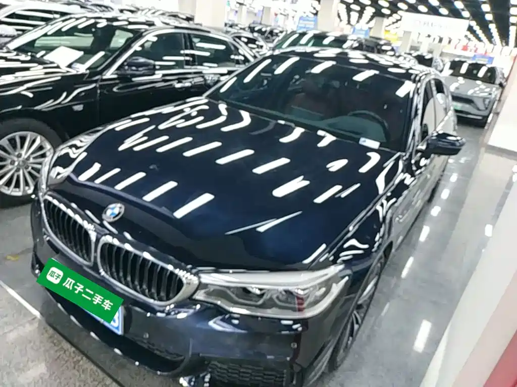 BMW 5 Series 2020 530Li Exclusive M Sport Package