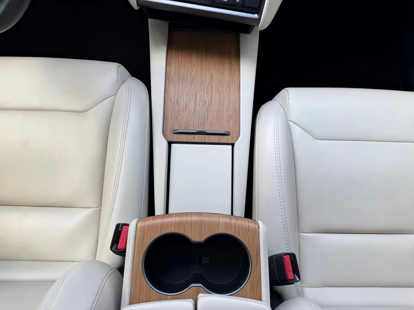Фото 11 - Tesla Model X