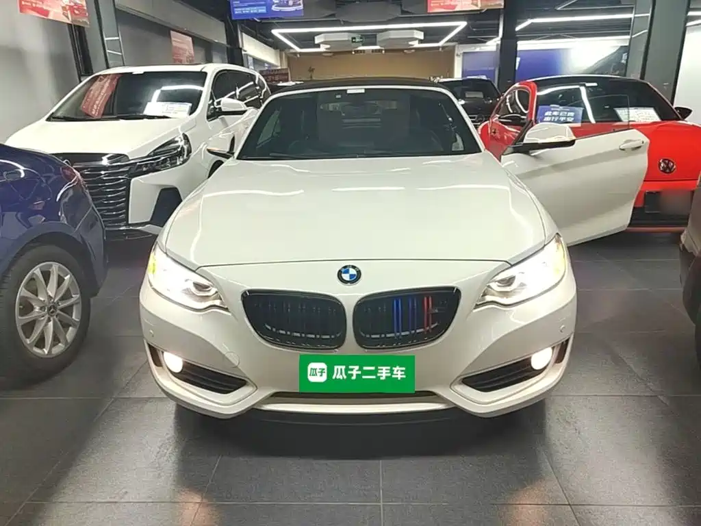 BMW 2 Series (Import) 2016 2015 220i Convertible Coupe Leading