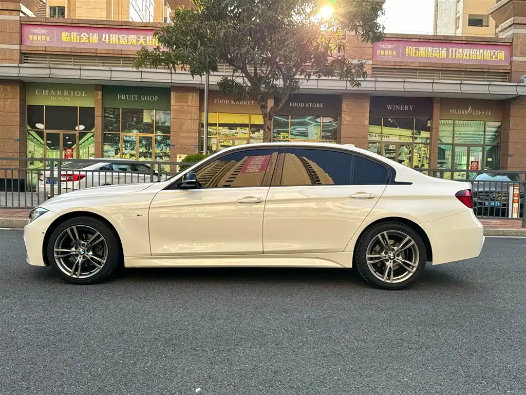 BMW 3 Series 2019 320Li M Sport Black Night Edition фото 7