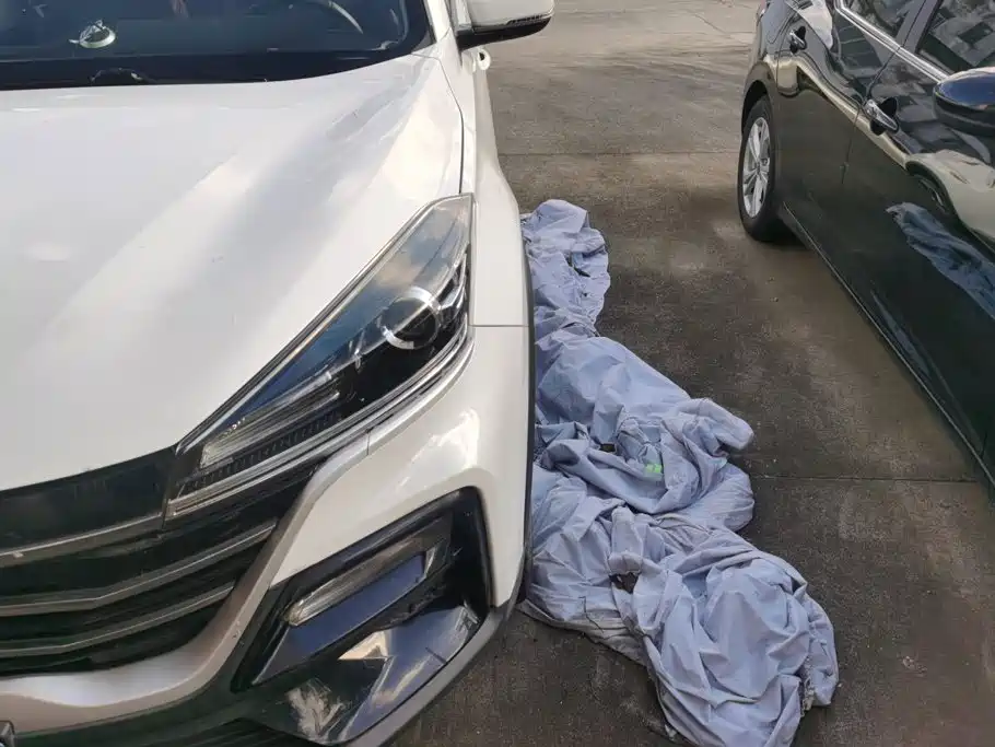 Cowin Xuanjie 2020 2020 1.5L CVT Yao