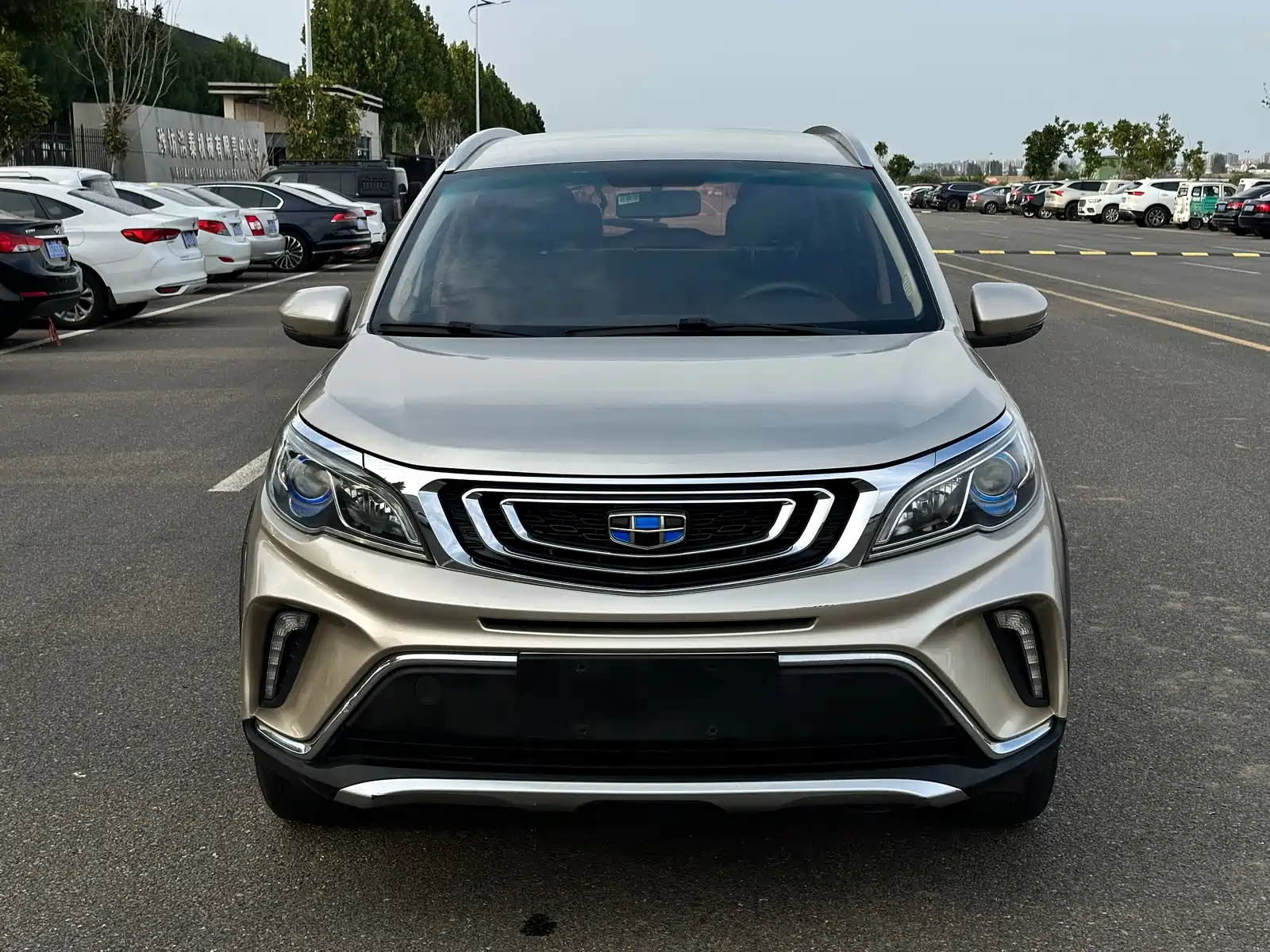 Фото 3 - Geely Vision X3