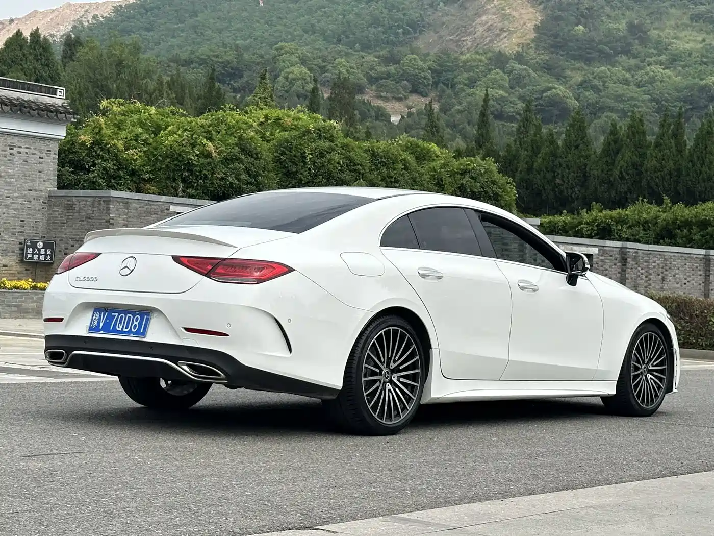 Mercedes-Benz CLS 2022 CLS 300 Luxury фото 15