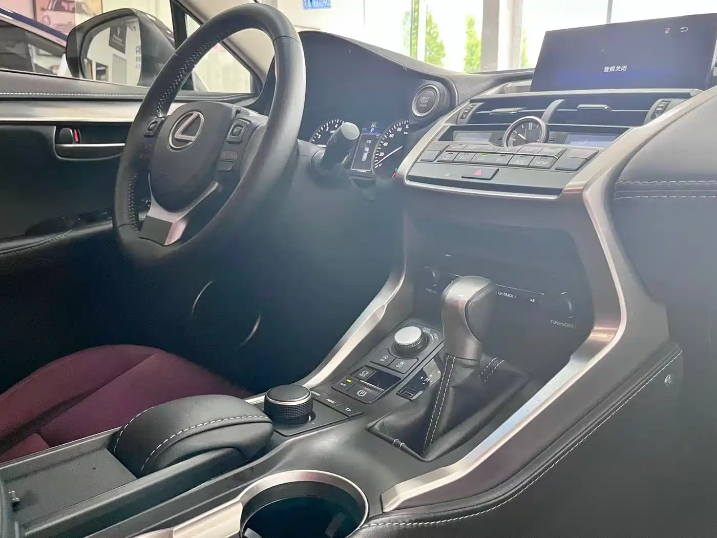 Lexus NX 2017 200 Midnight Special Limited Edition фото 14