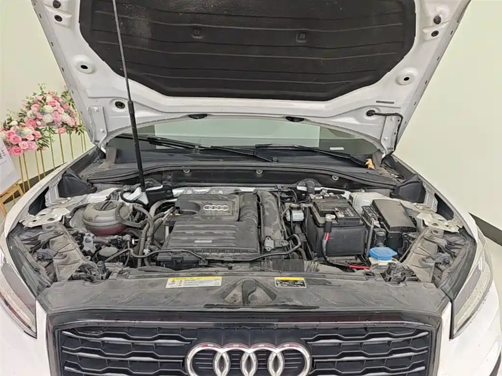Audi Q2L 2018 35 TFSI Launch Exclusive Edition China VI фото 19
