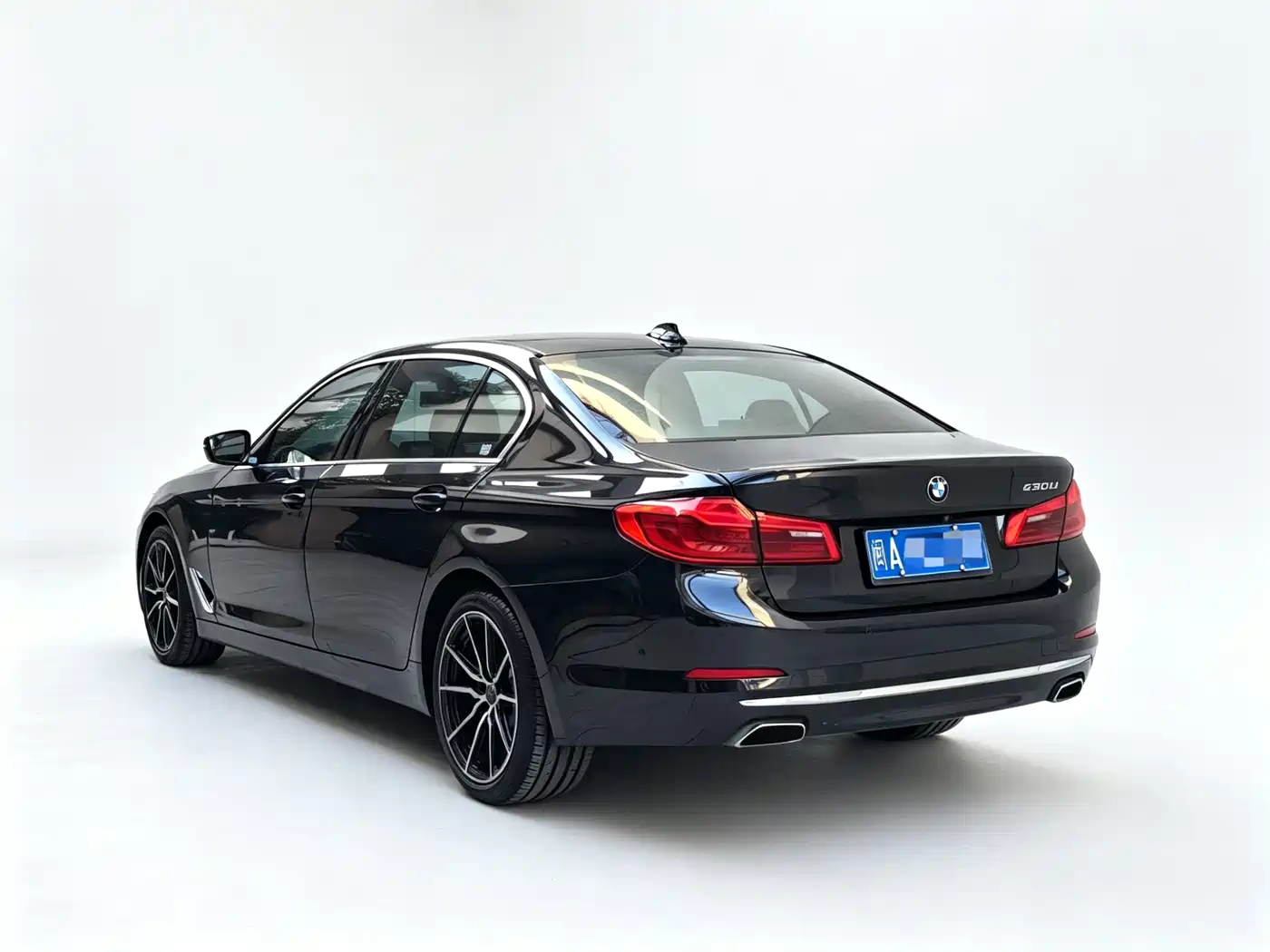 BMW 5 Series 2020 530Li Premium Luxury Package фото 9