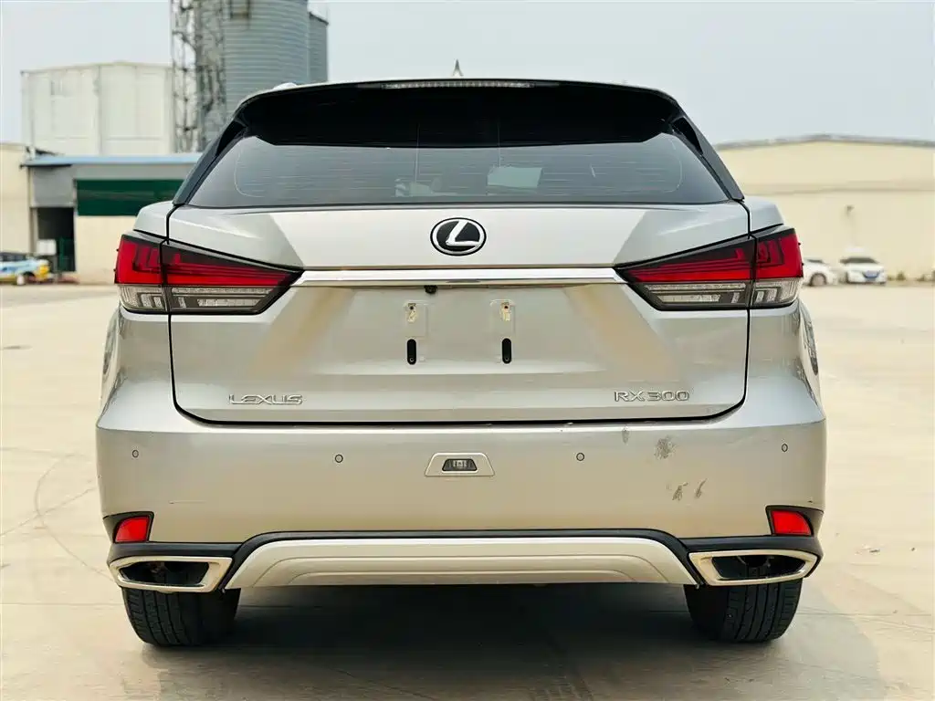 Lexus RX 2020 Facelift 300 2WD Comfort Edition фото 4