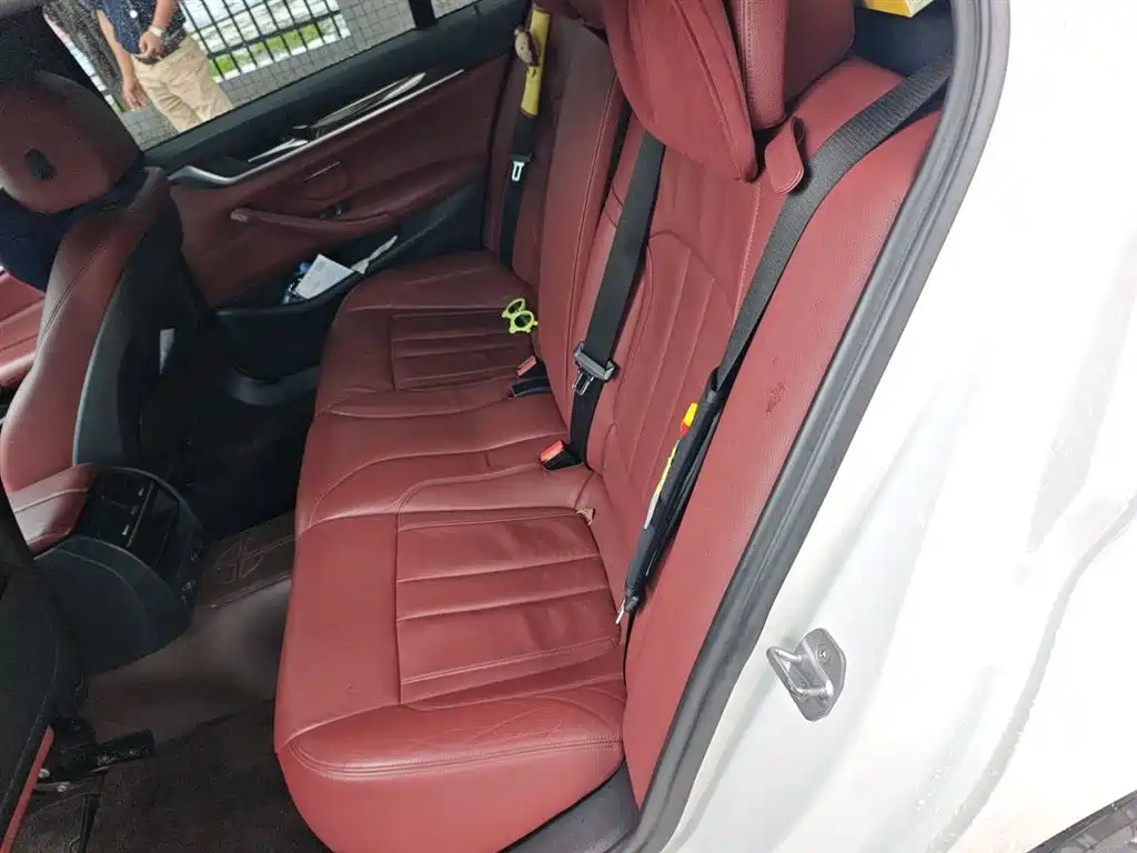 BMW 5 Series 2018 Facelift 530Li Leading M Sport Package фото 15