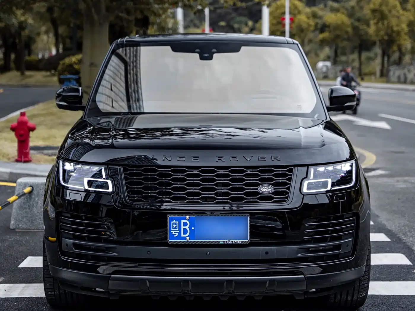 Land Rover Range Rover 2020 3.0 L6 Supreme Creation Extended Version фото 2