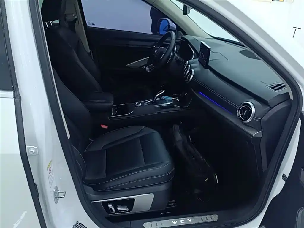 WEY VV6 2019 2018 2.0T 2WD Super Luxury China V