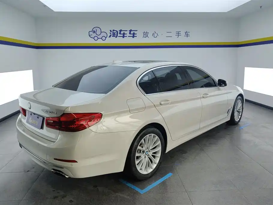 BMW 5 Series 2019 530Li Leading Luxury Package фото 3