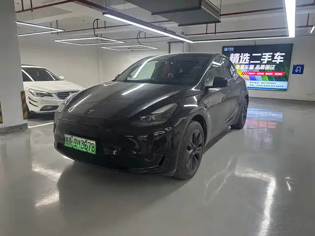 Tesla Model Y Задний привод
